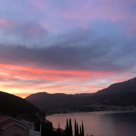 Villa Garden Apartments Herceg Novi Exteriör bild