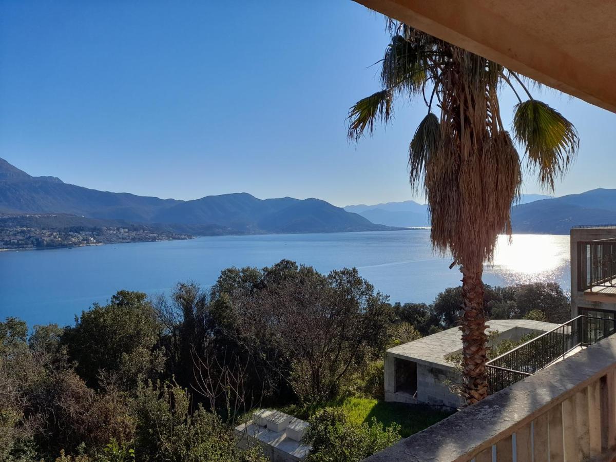 Villa Garden Apartments Herceg Novi Exteriör bild