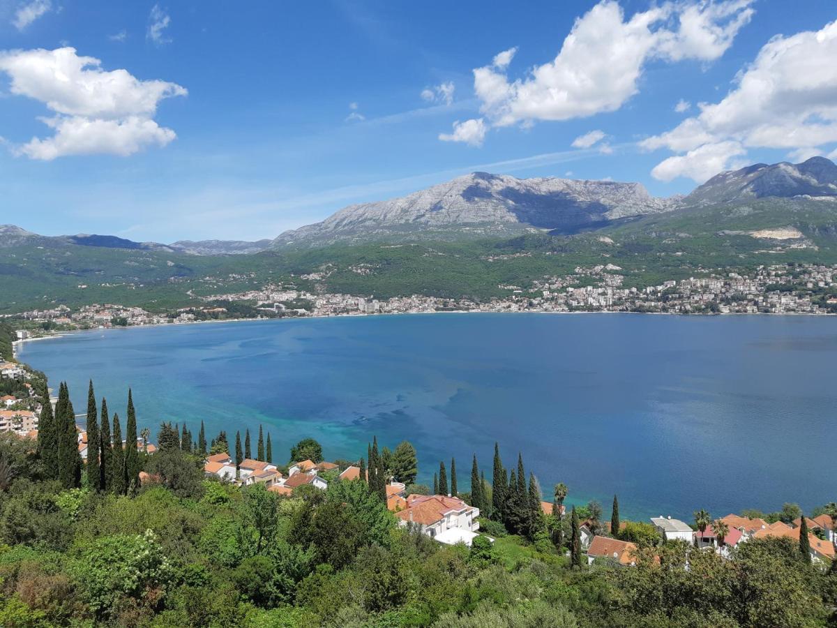 Villa Garden Apartments Herceg Novi Exteriör bild