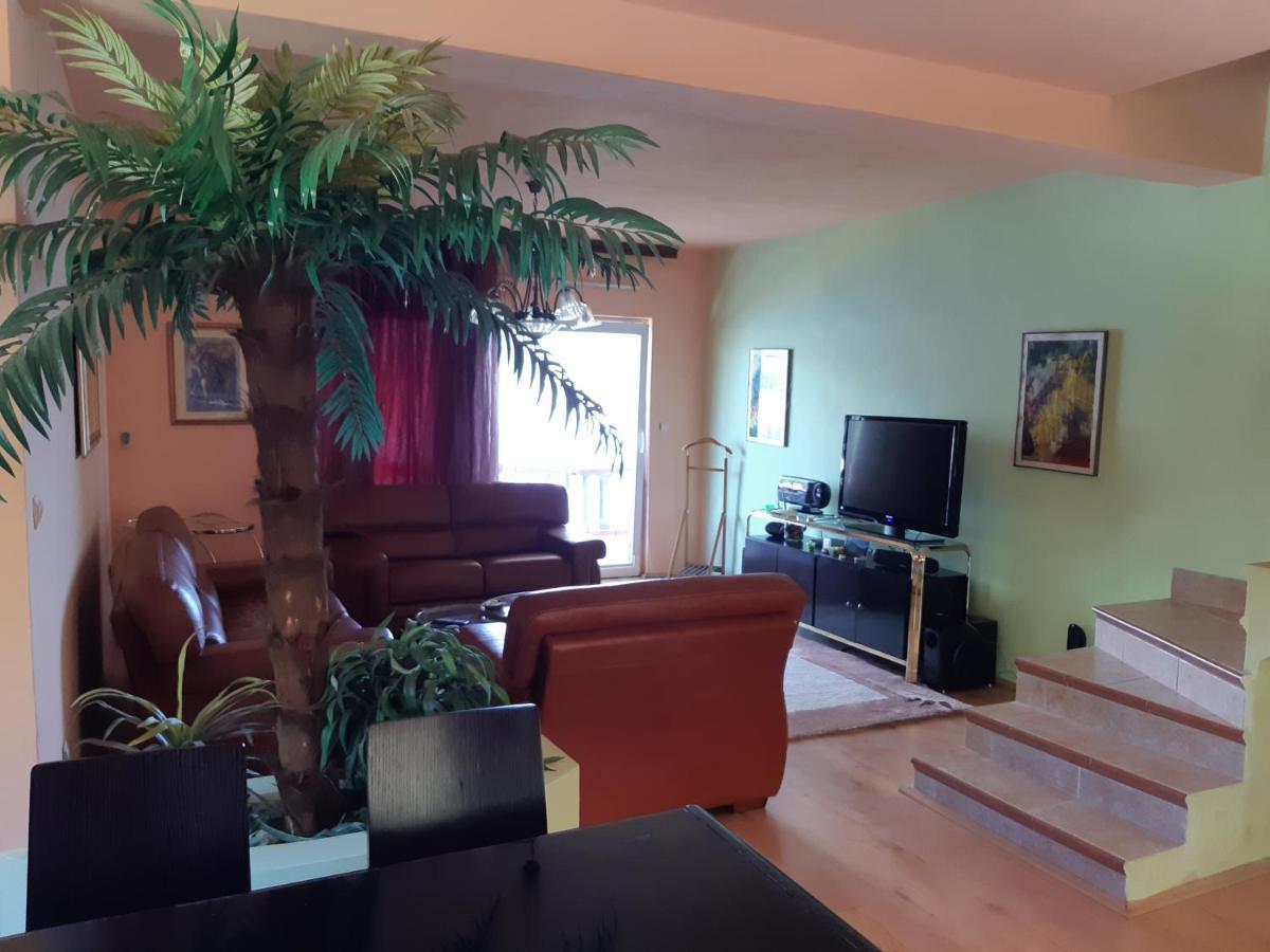 Villa Garden Apartments Herceg Novi Exteriör bild