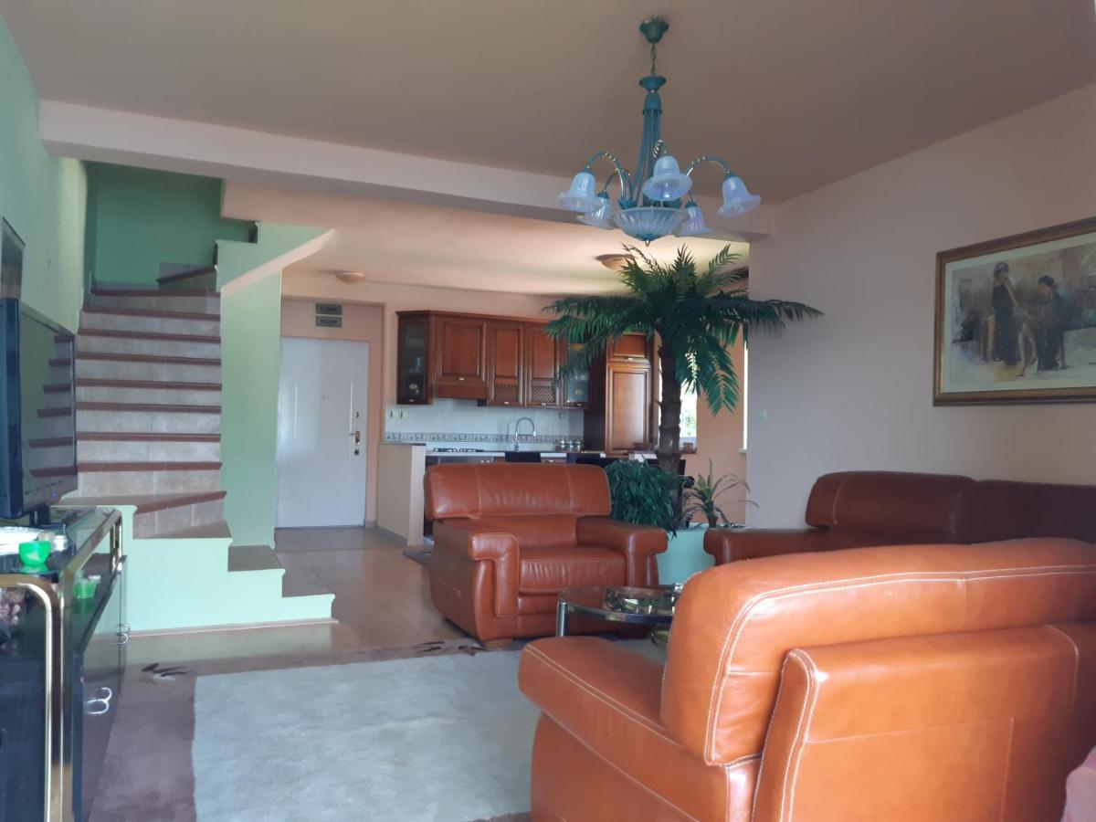 Villa Garden Apartments Herceg Novi Exteriör bild