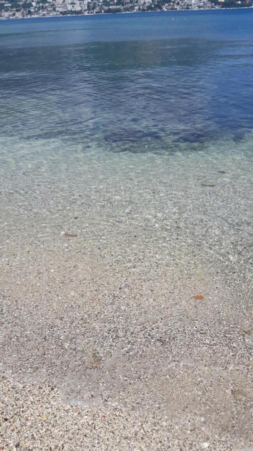 Villa Garden Apartments Herceg Novi Exteriör bild
