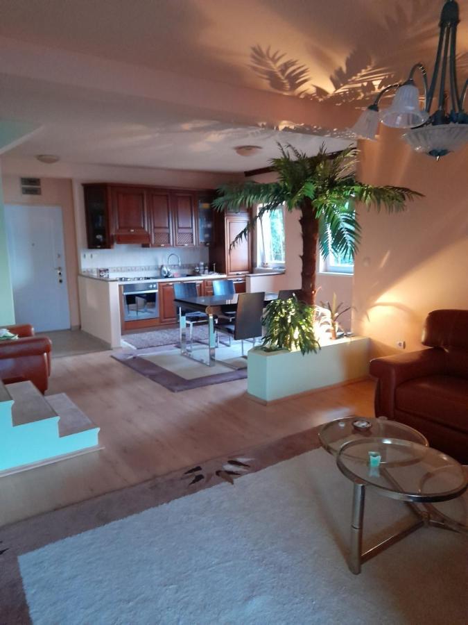 Villa Garden Apartments Herceg Novi Exteriör bild
