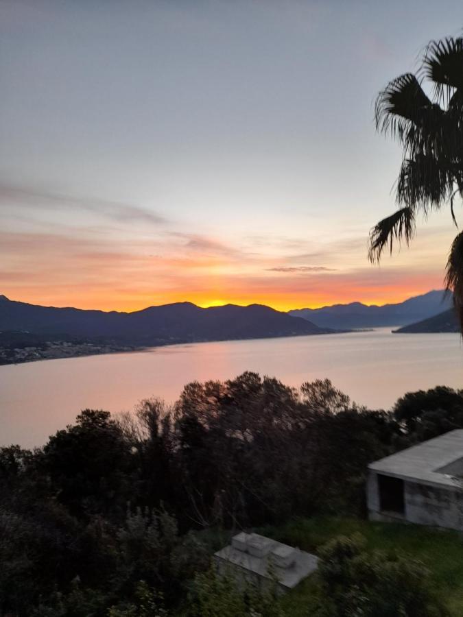 Villa Garden Apartments Herceg Novi Exteriör bild